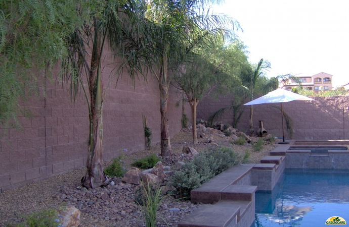 custom pools and spas by greencare.net